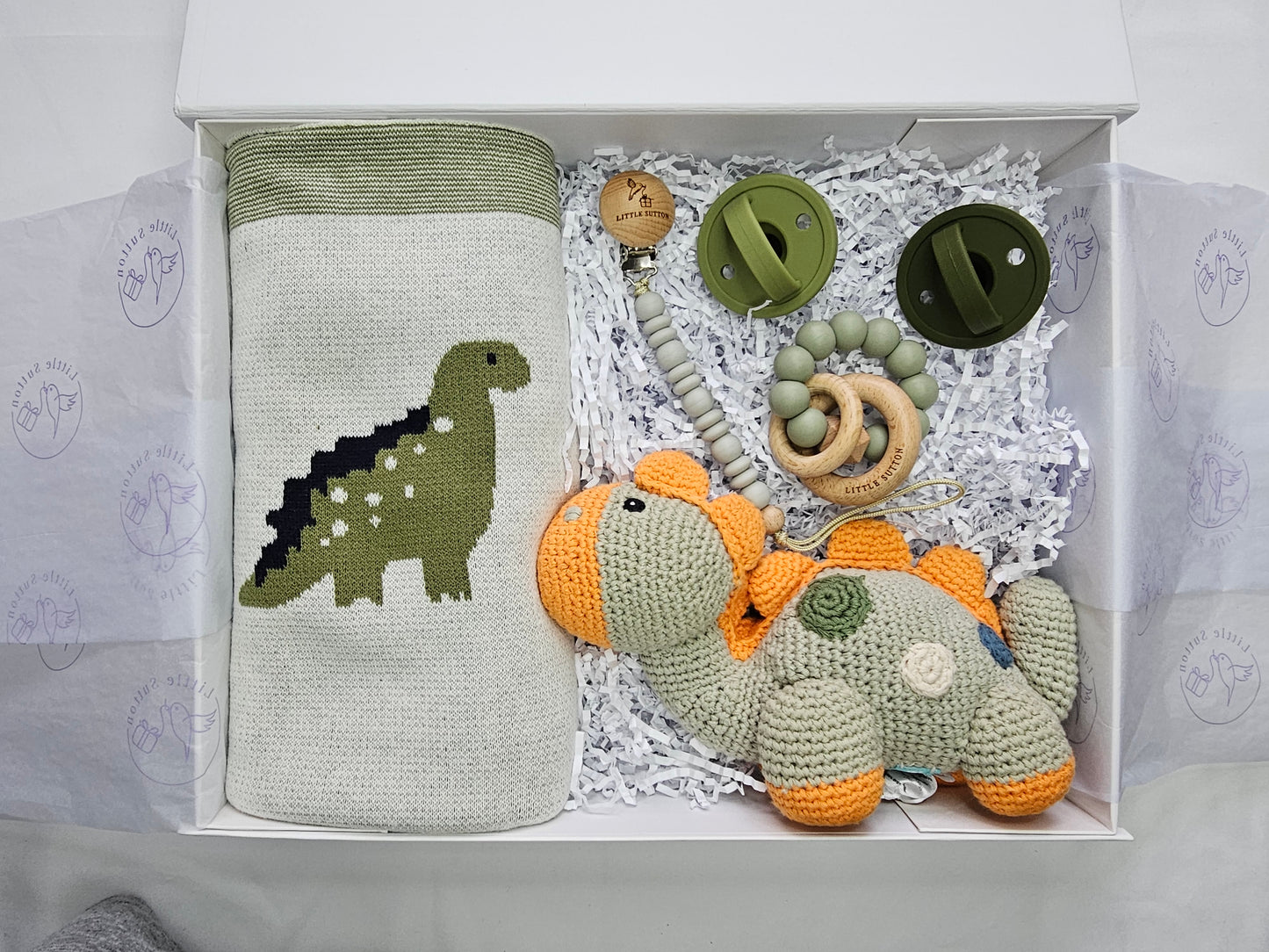 Dinosaur Gift Set